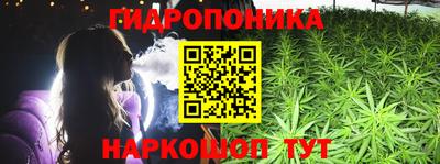 шишки Абинск