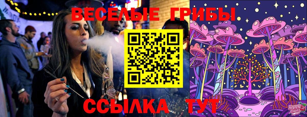 Галлюциногенные грибы MAGIC MUSHROOMS  Псилоцибиновые грибы Cubensis  Вход с VPN  как найти наркотики  Апатиты 